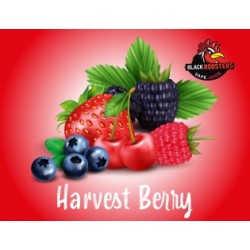 Harvest Berry
