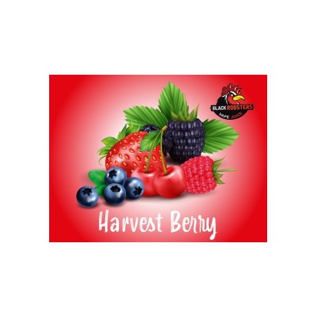 Harvest Berry