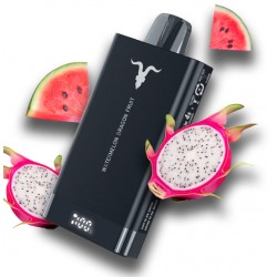 Ignite V150 15000 puffs watermelon dragonfruit Pod descartable